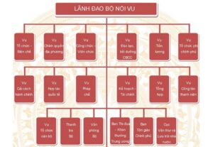 Cơ cấu nhiệm vụ và quyền hạn của Sở Nội vụ và Phòng chuyên môn cấp xã